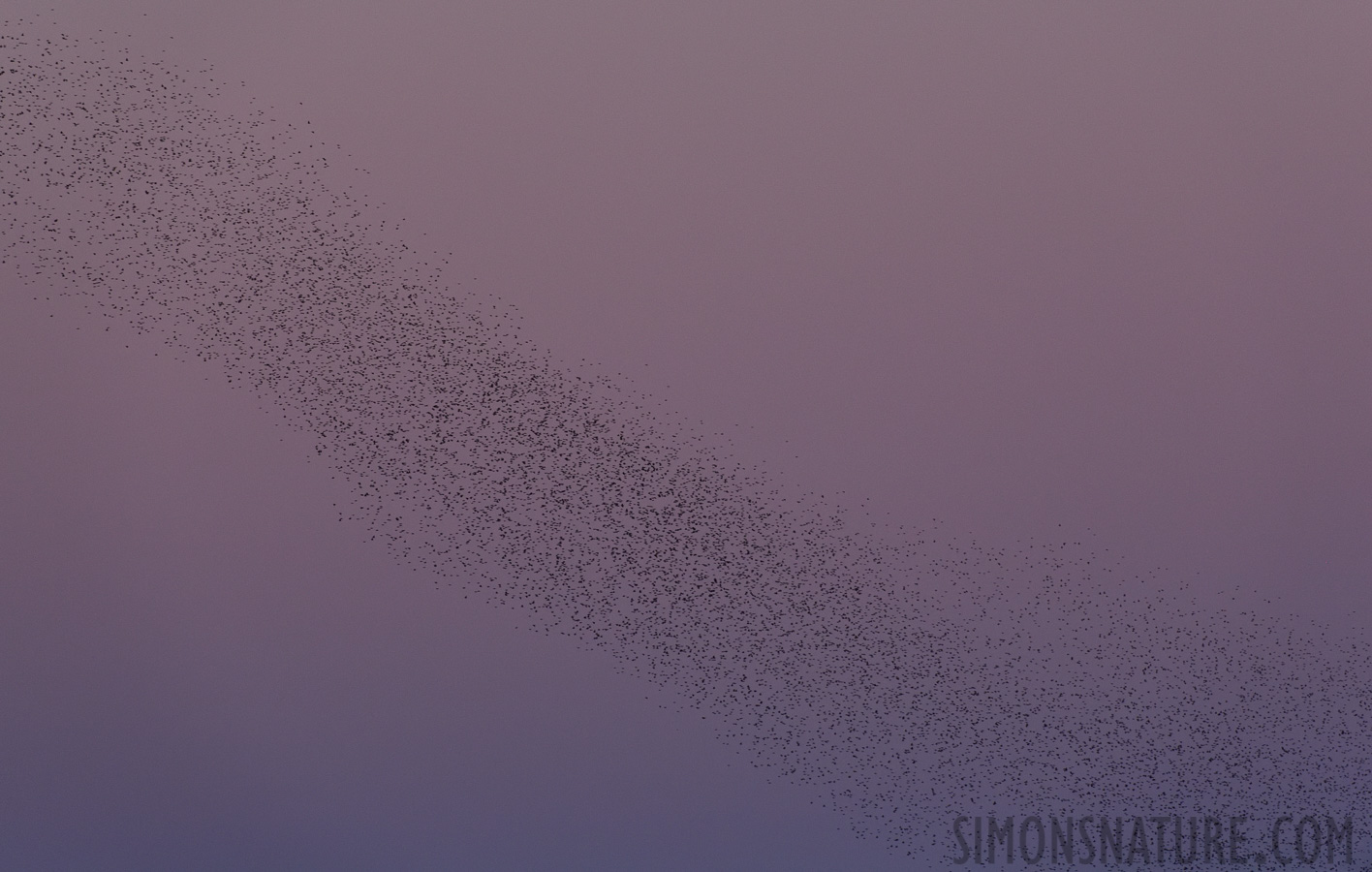 [400 mm, 1/250 Sek. bei f / 8.0, ISO 2500]